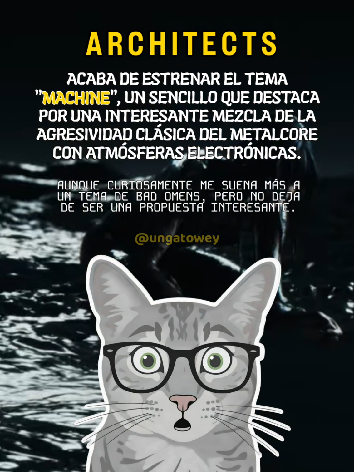 @UN GATO WEY