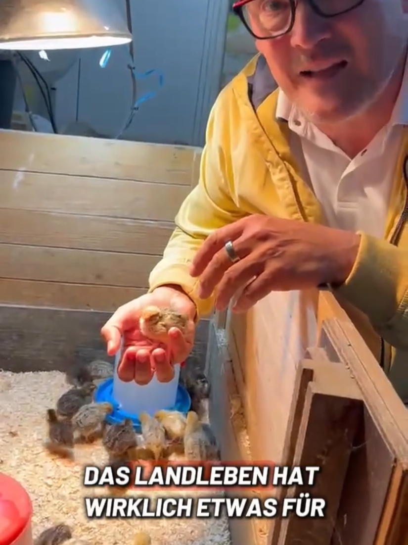 @Martin Reichardt