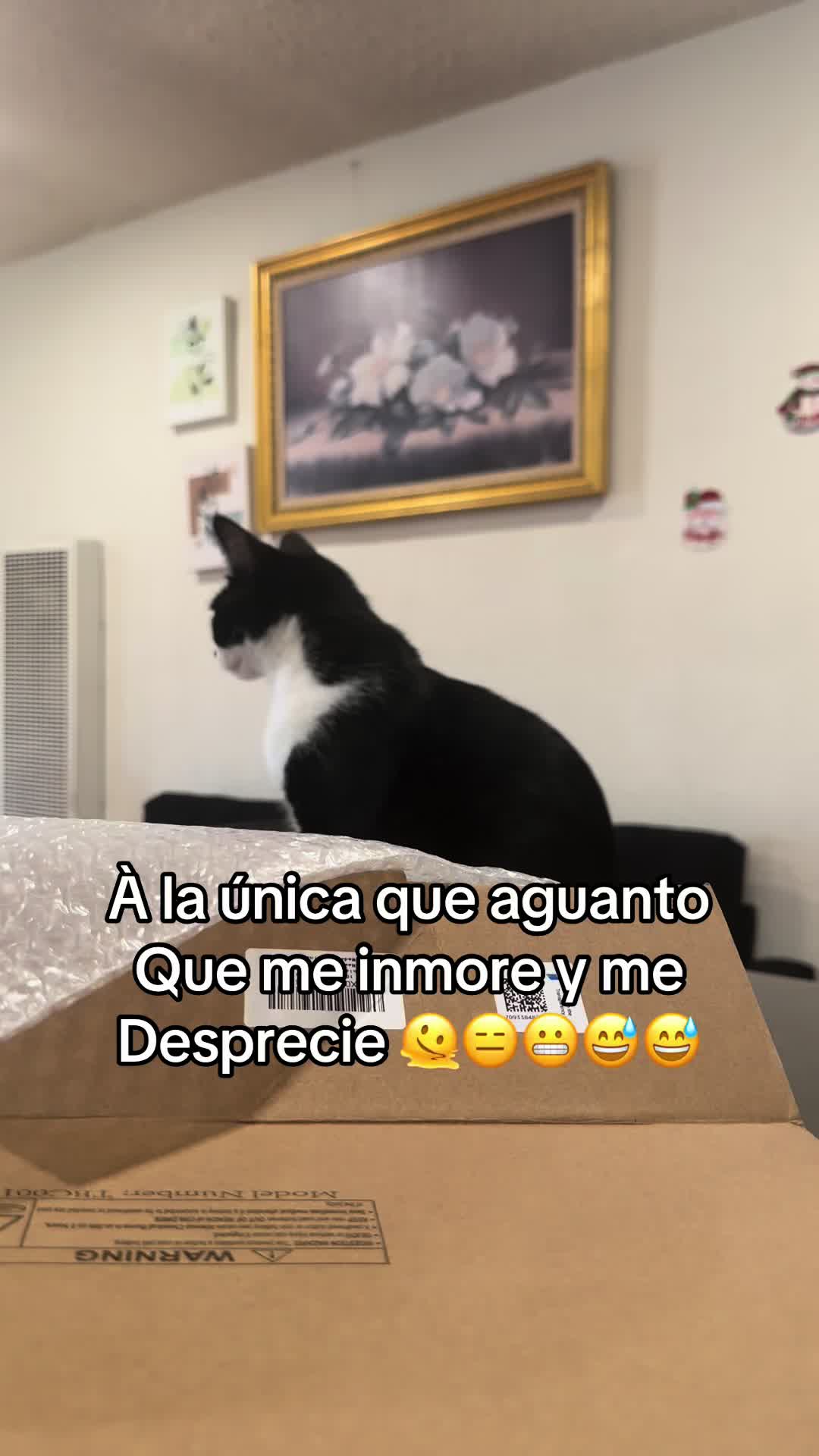 @Historia real