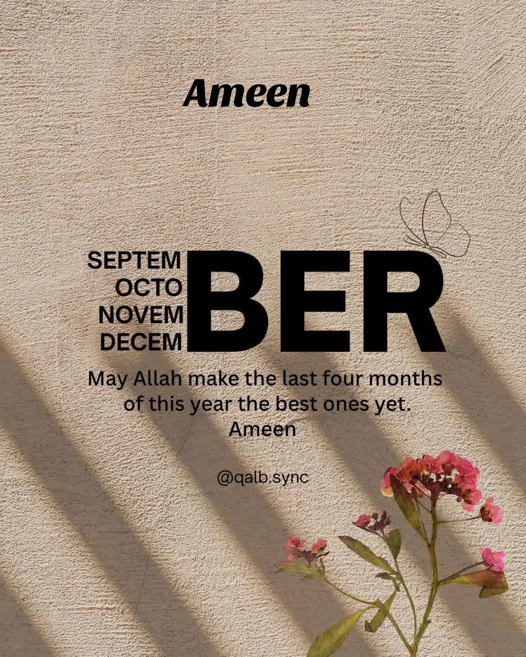 @Afrin Ansari
