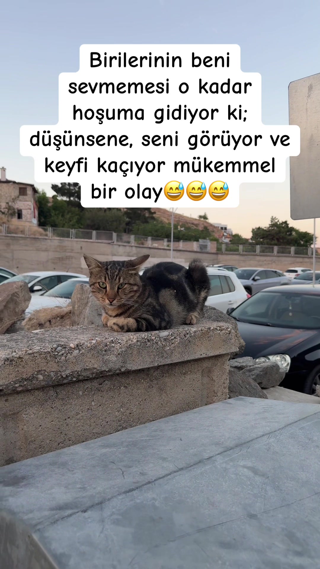 @𝗞𝗼𝗻𝘆𝗮𝗹ı𝟰𝟮 👑 🏁📍