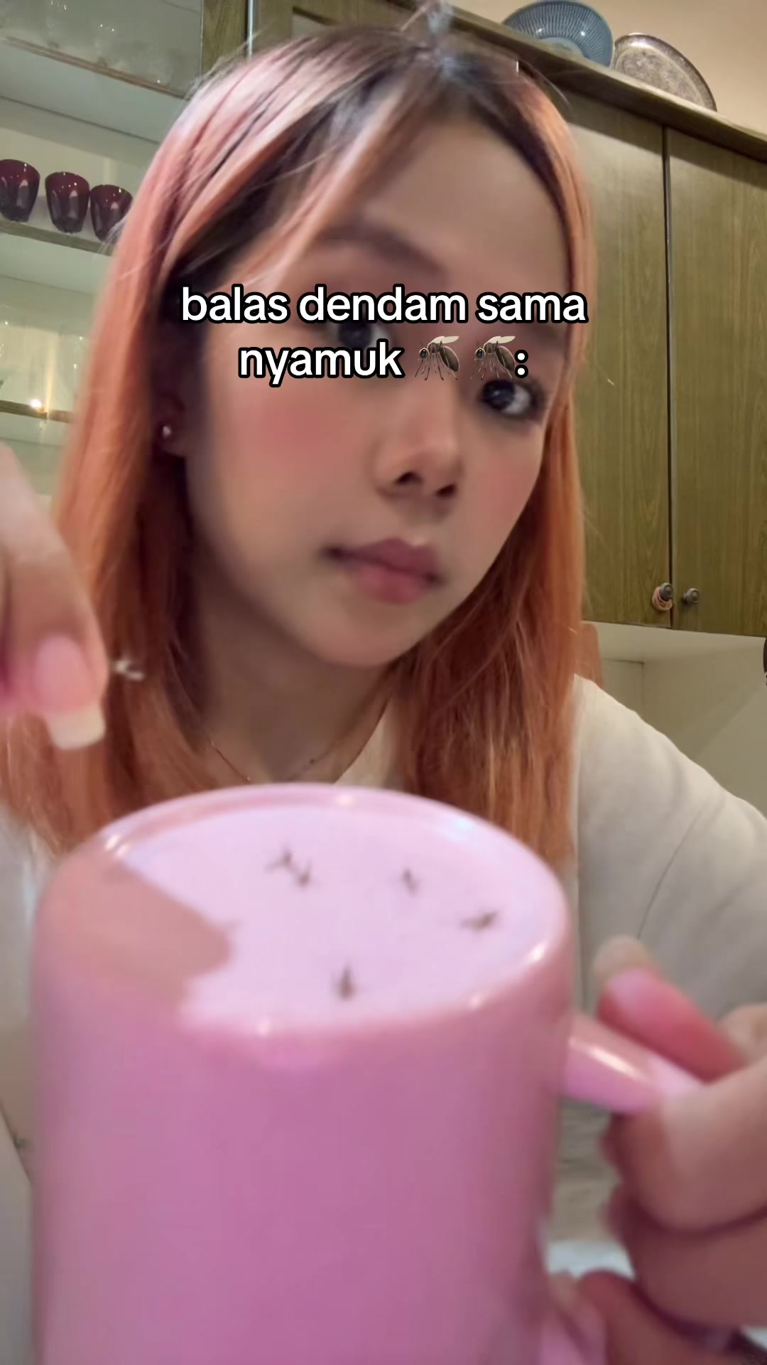 @dei ૮ ˙Ⱉ˙ ა