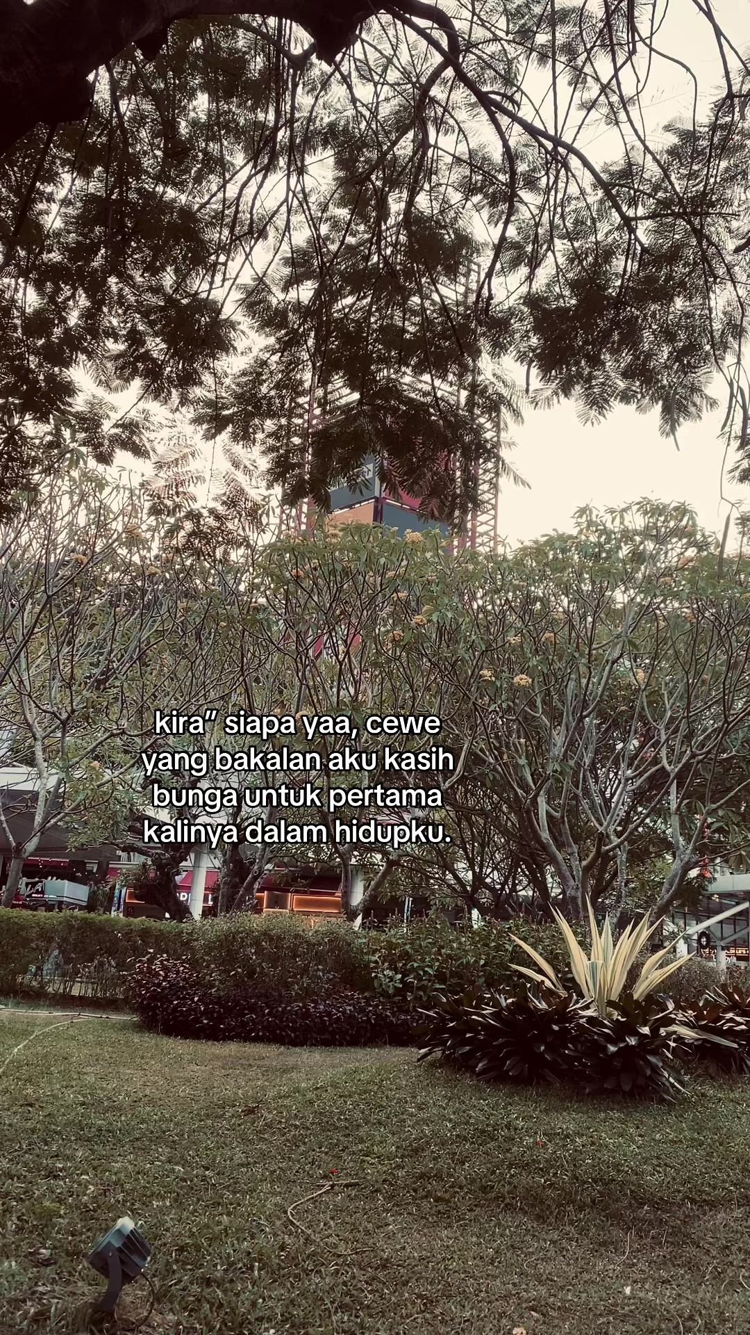 @ryy.