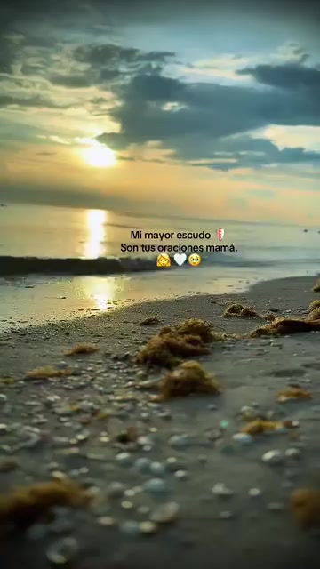 @el pel&oacute;n