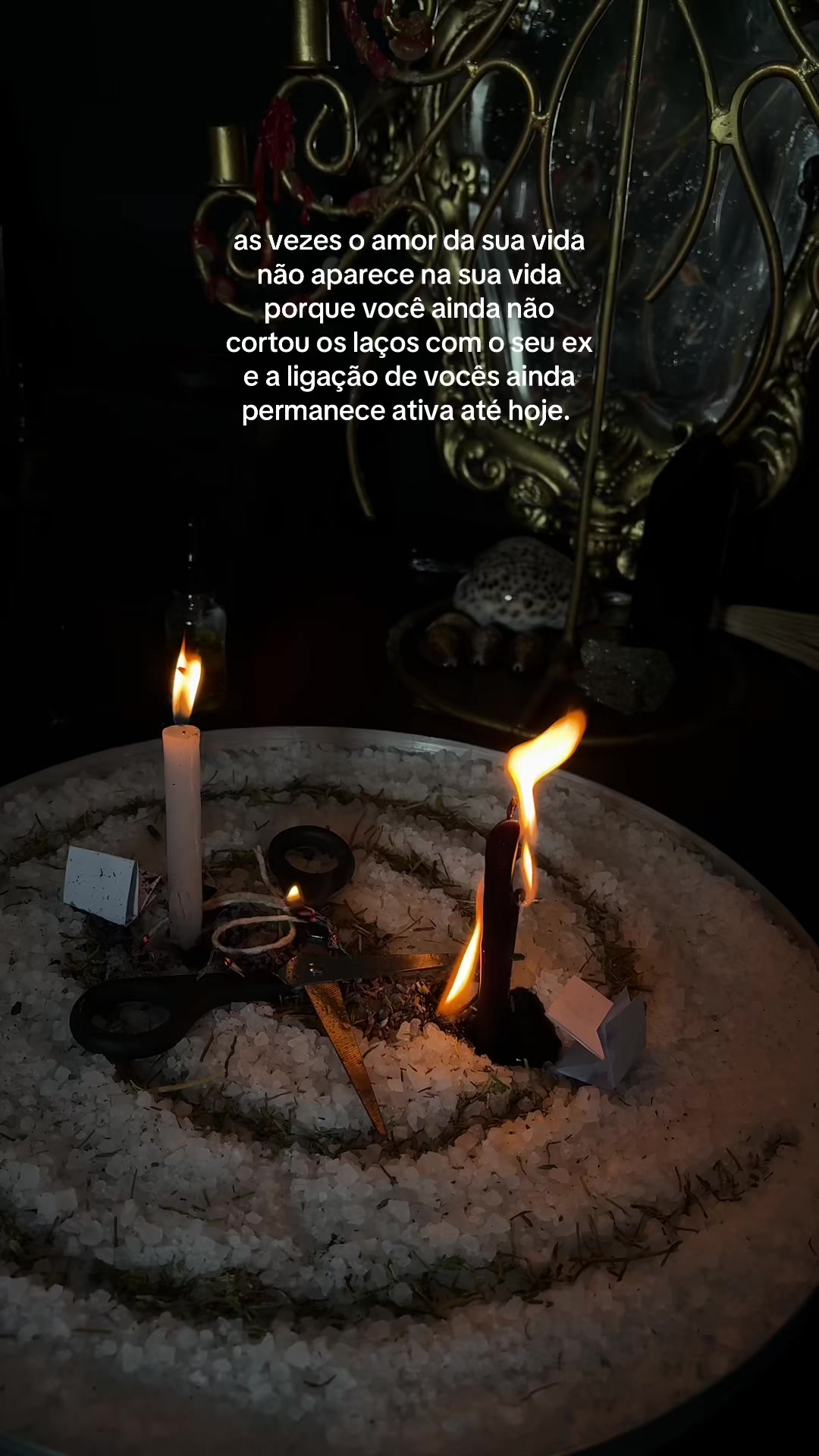 @༺ Cherr&iacute; ༻
