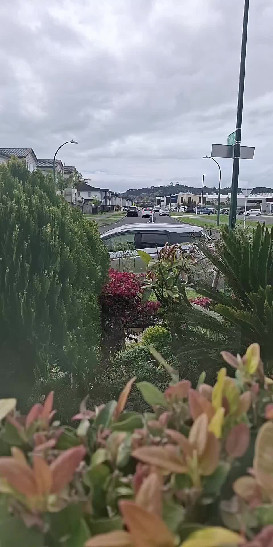 @Rizza 🇳🇿 🇵🇭