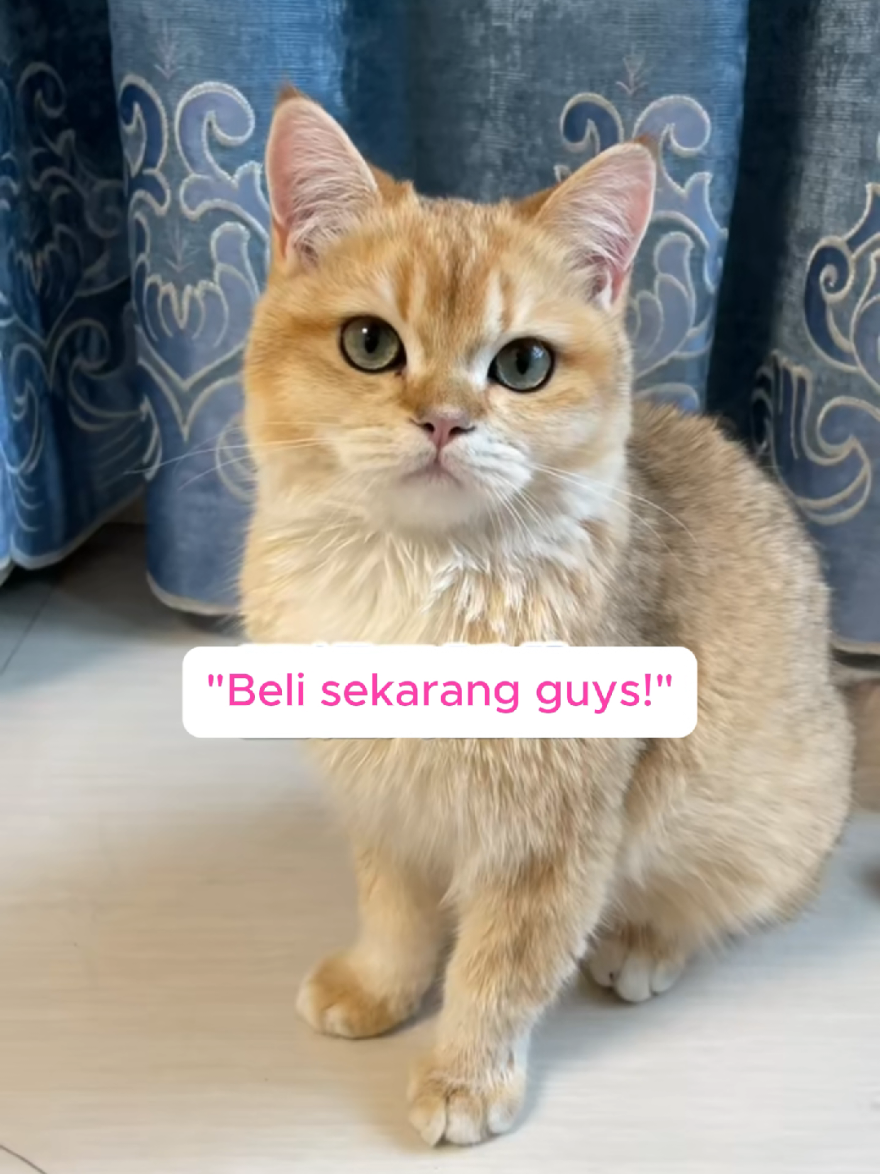 @Yuyun Idia