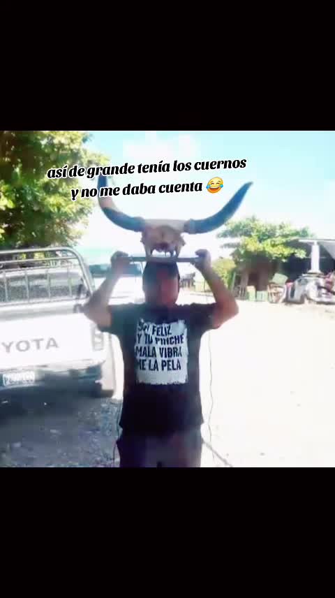@Rolando El Fish