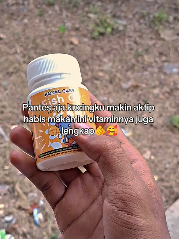 @Catman
