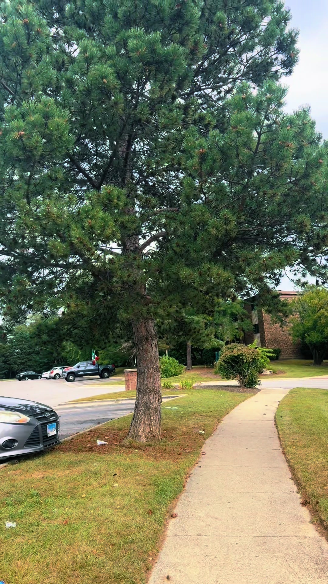 @Khushii_vlog 🇵🇰🛫🇺🇸