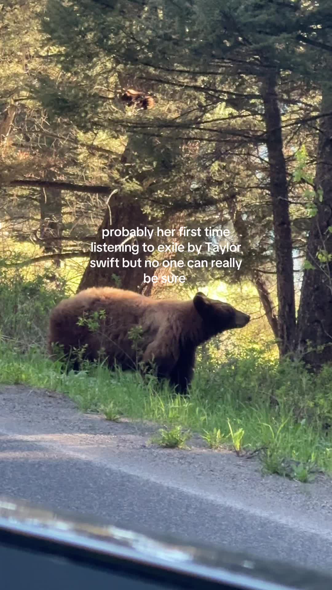 @Kate
