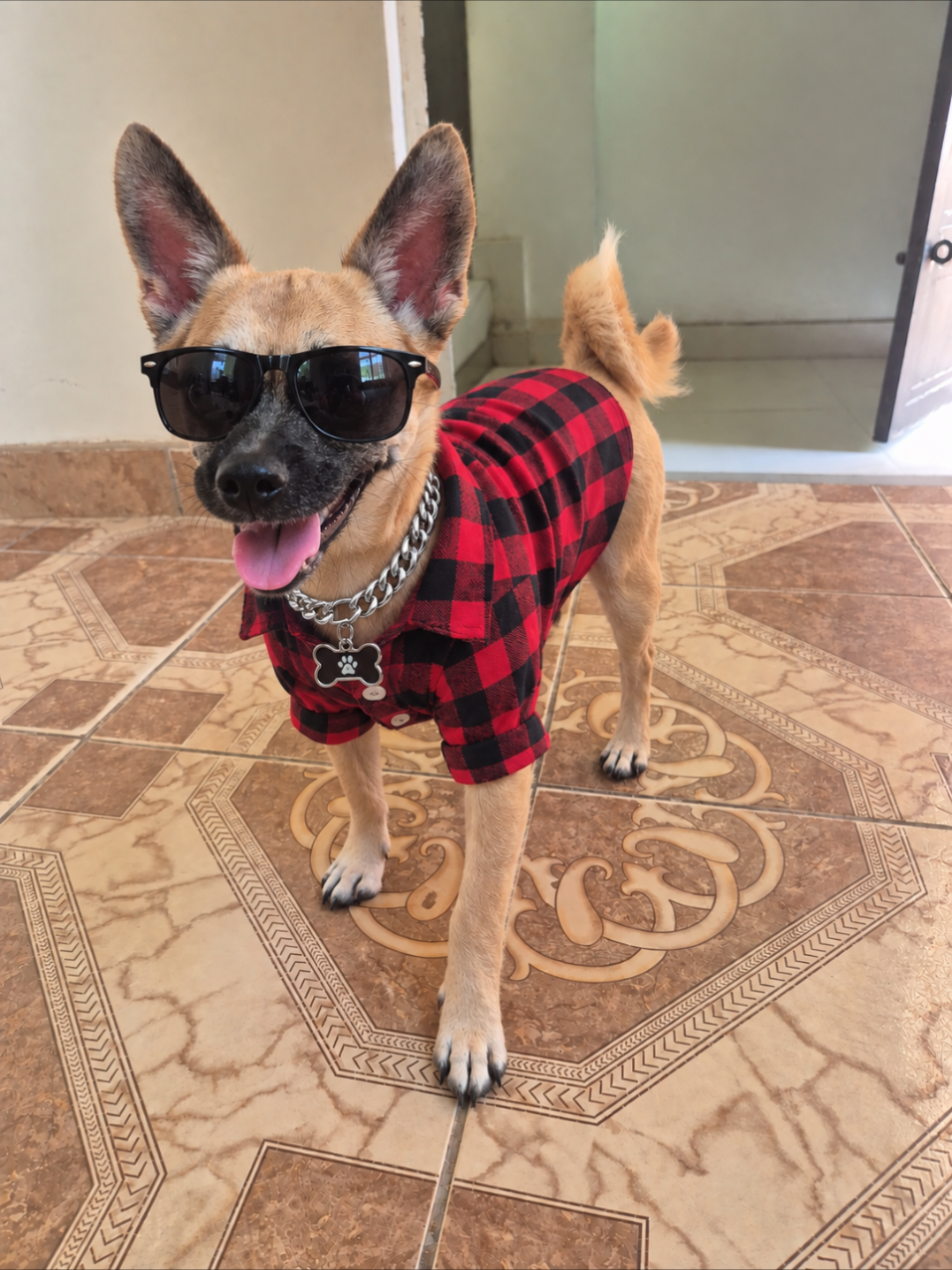 @𝙺𝚊𝚛𝚕a Alvarado 🦥