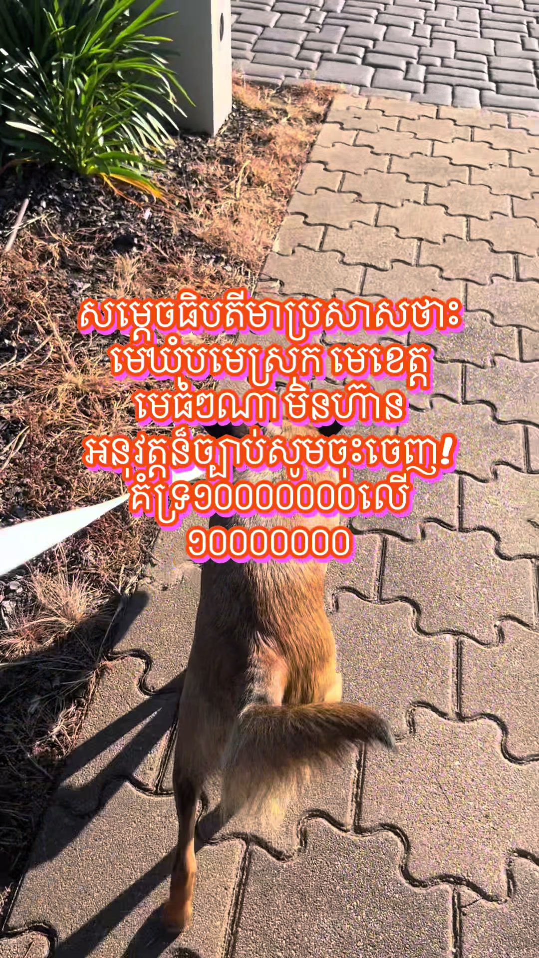 @Seang khim pen