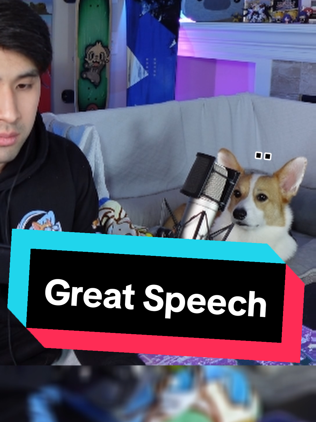 @Protocorg | Twitch Streamer
