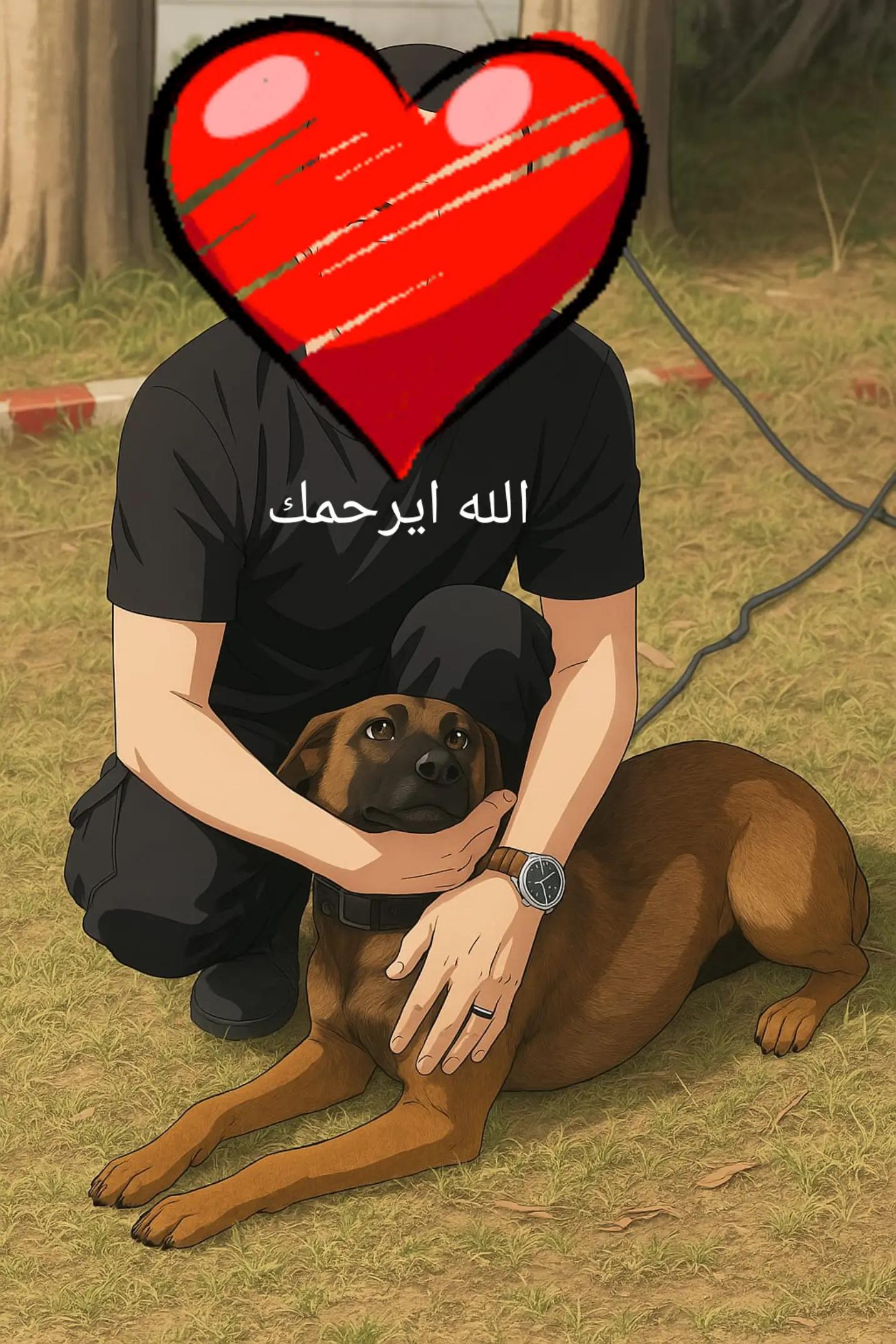 @Louna Hami