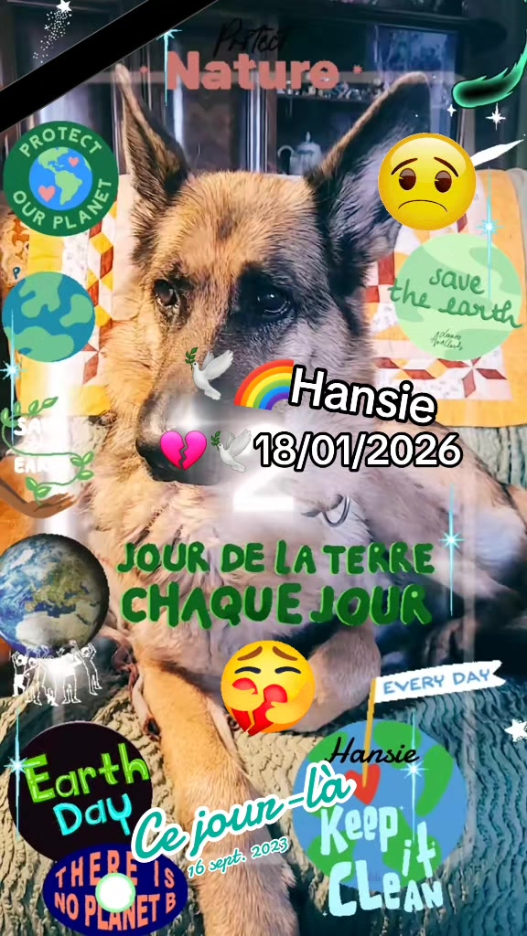 @Charele