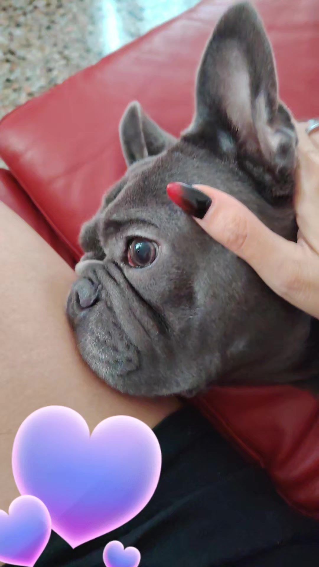 @🐾Pablo🐾