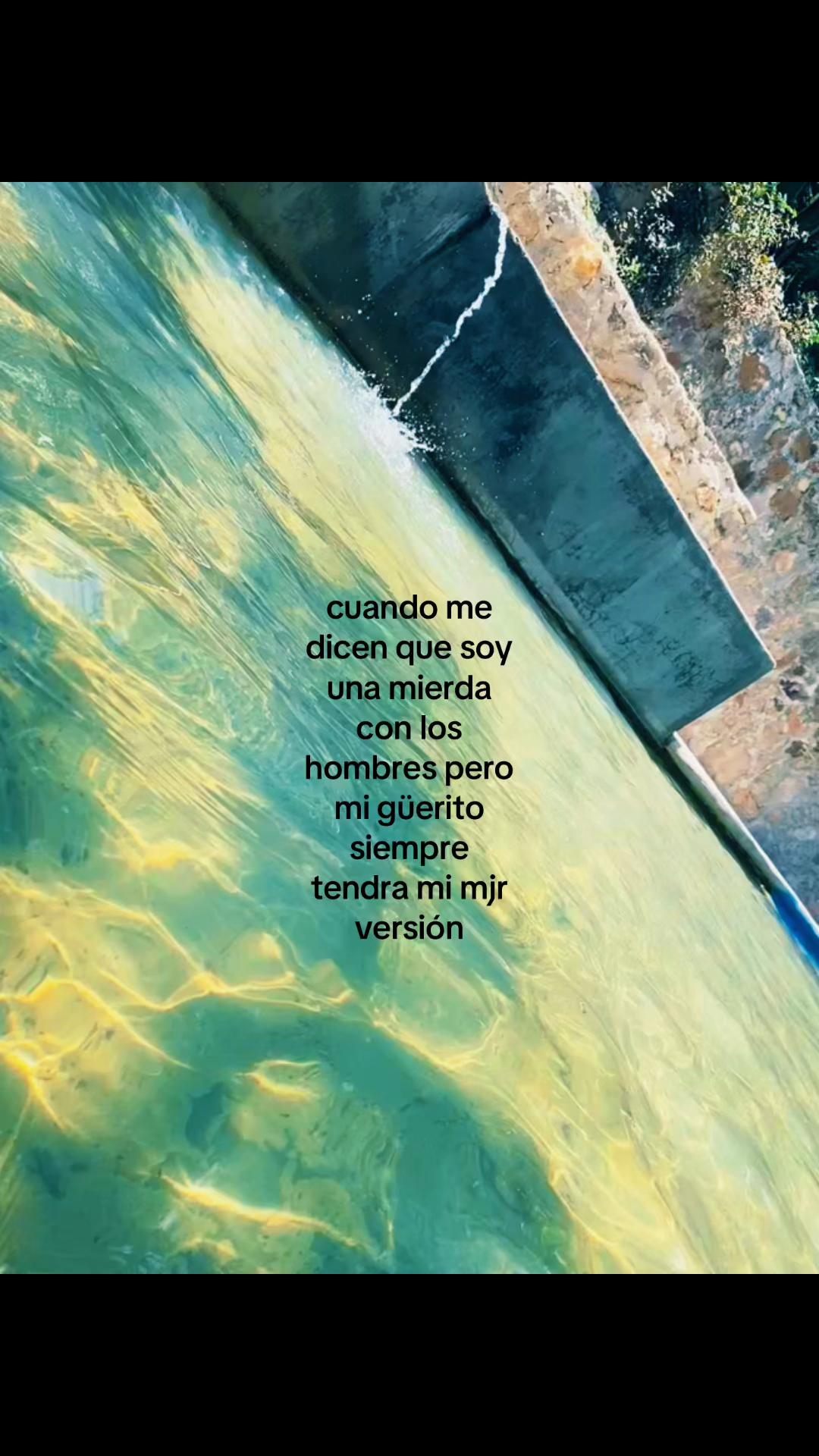 @Palomino🦦