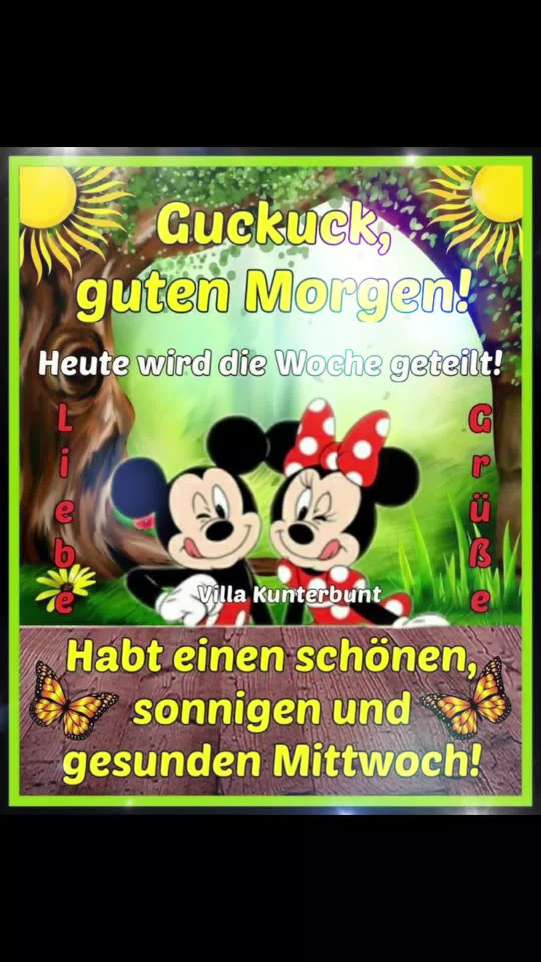 @hammly