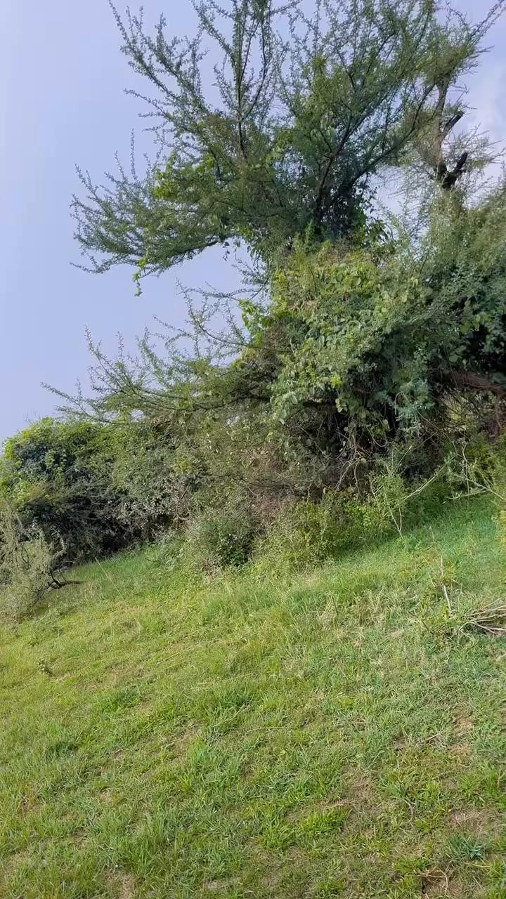 @Hidda-dhawra👸🤍