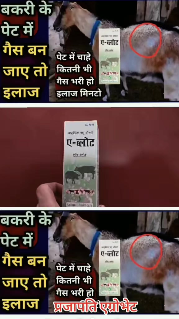 @Prajapati Agro Vet