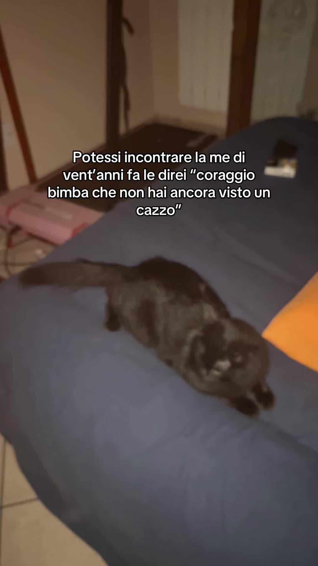 @valeriademarco🌻