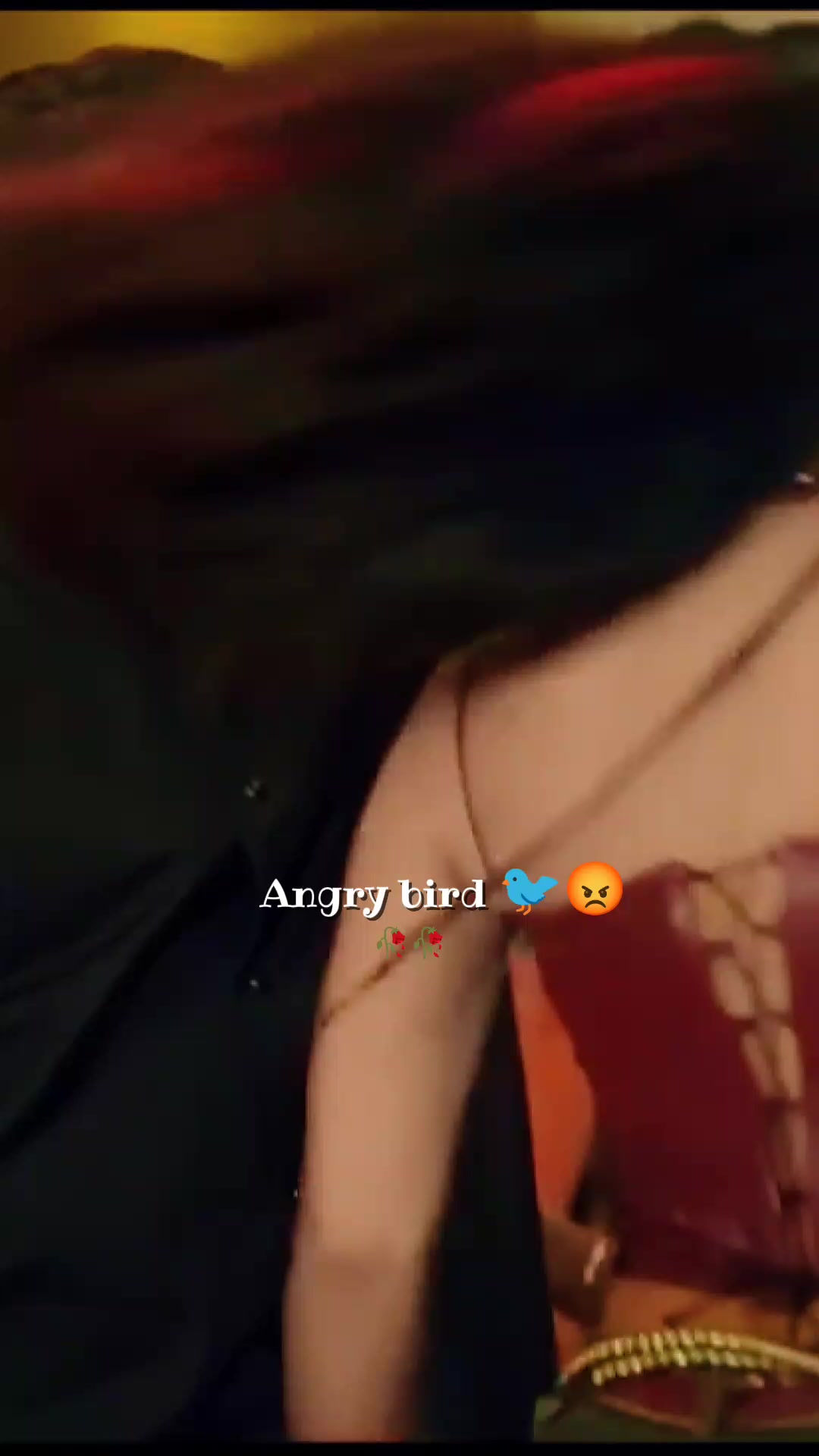 @💫𝖆𝖓𝖌𝖗𝖞 𝖇𝖎𝖗𝖉𝖘💫💥