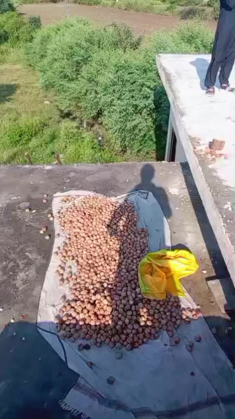 @rafeeaq