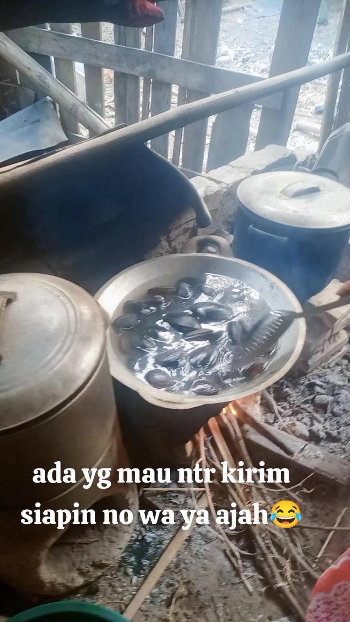 @Tunah atun