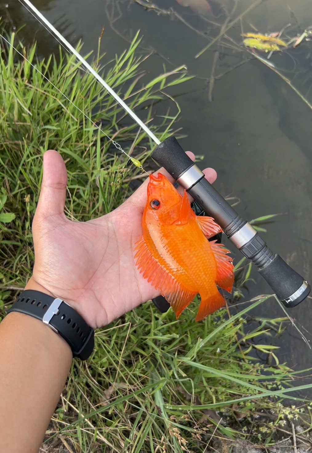 @Andalan Mancing
