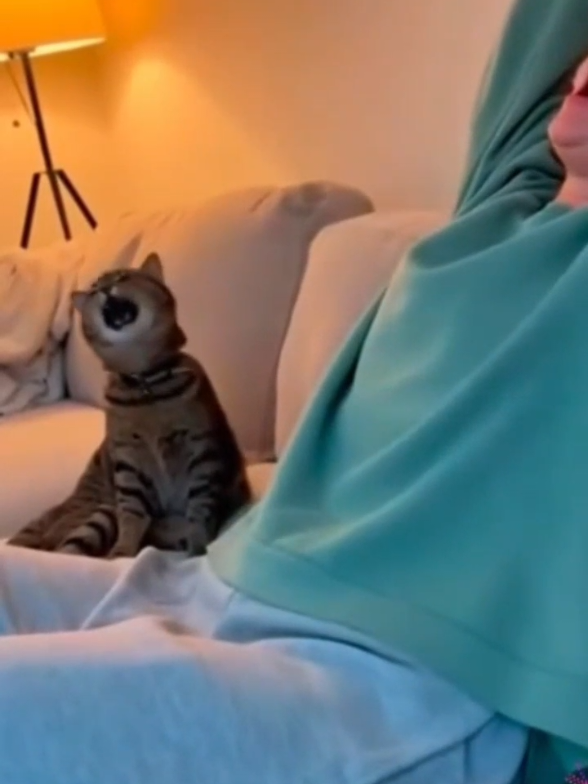 @Catman