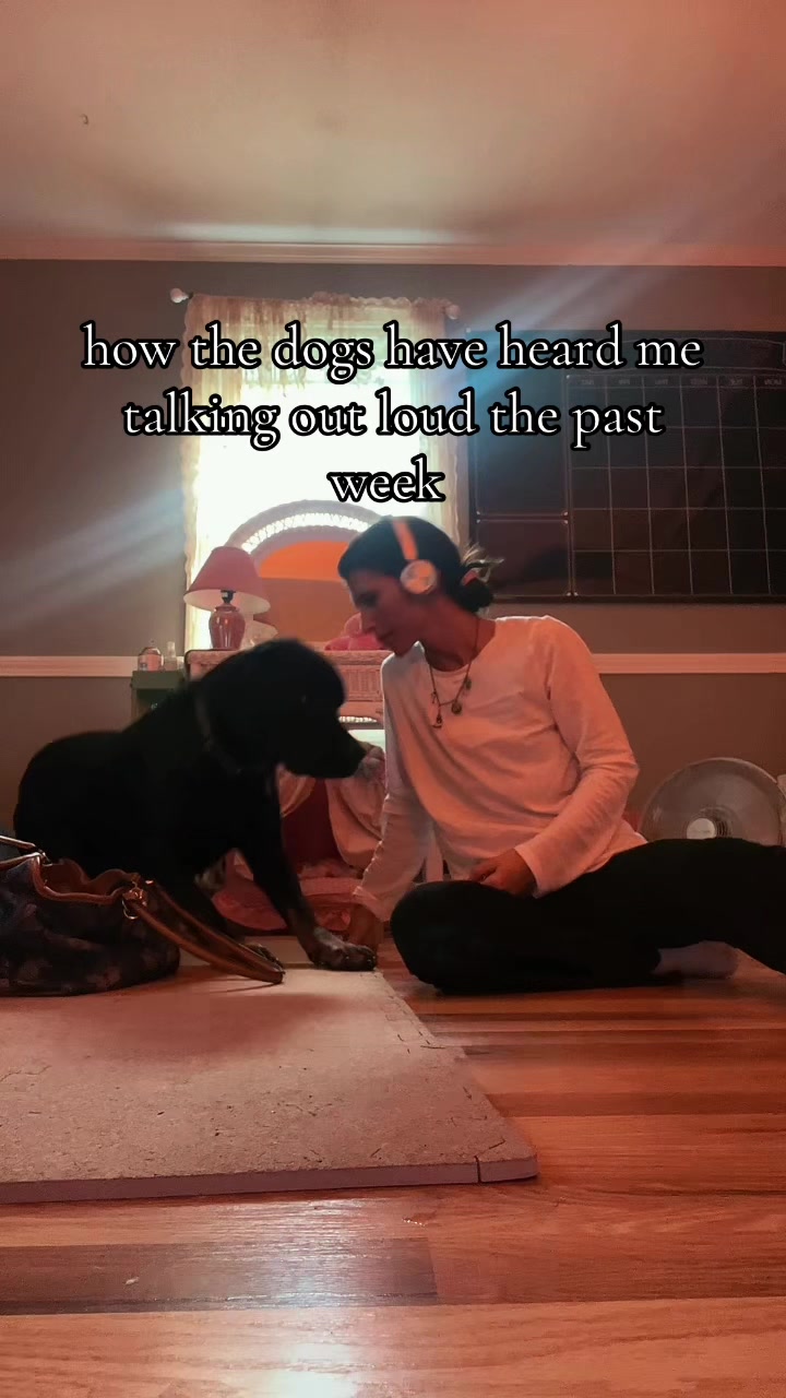 @fartsforeva