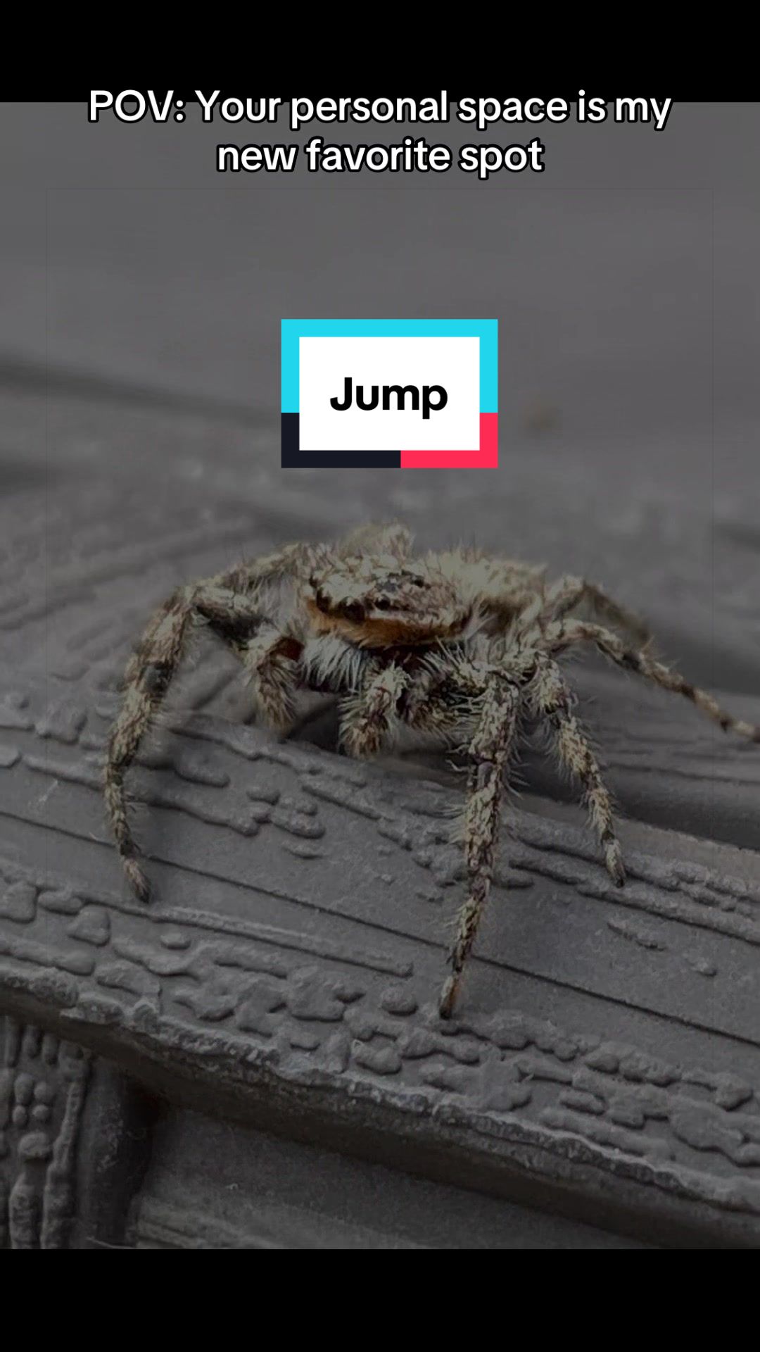 @Jen
