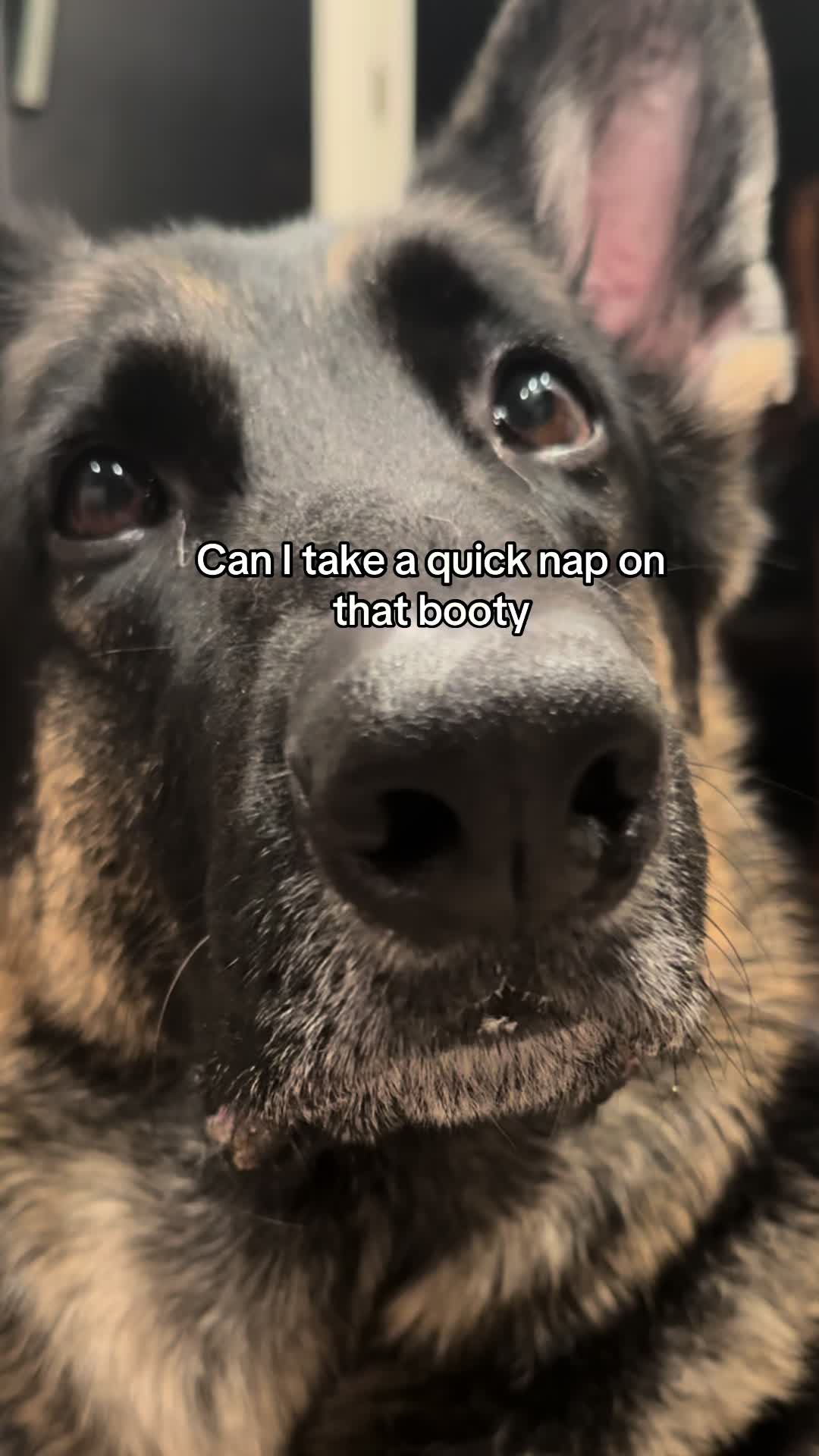 @Bhris