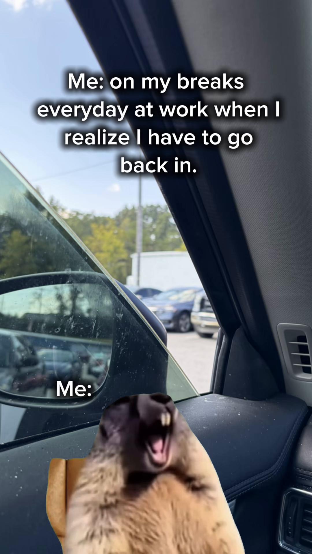 @Bobbie