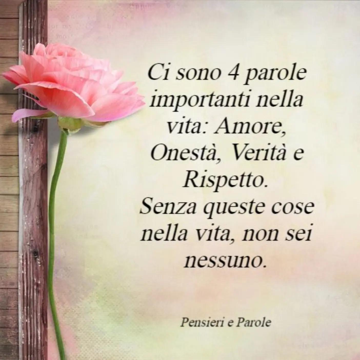@Ninoilcamionistasiciliano🚛