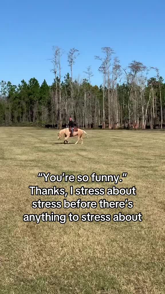 @Lindsey Bertoglio