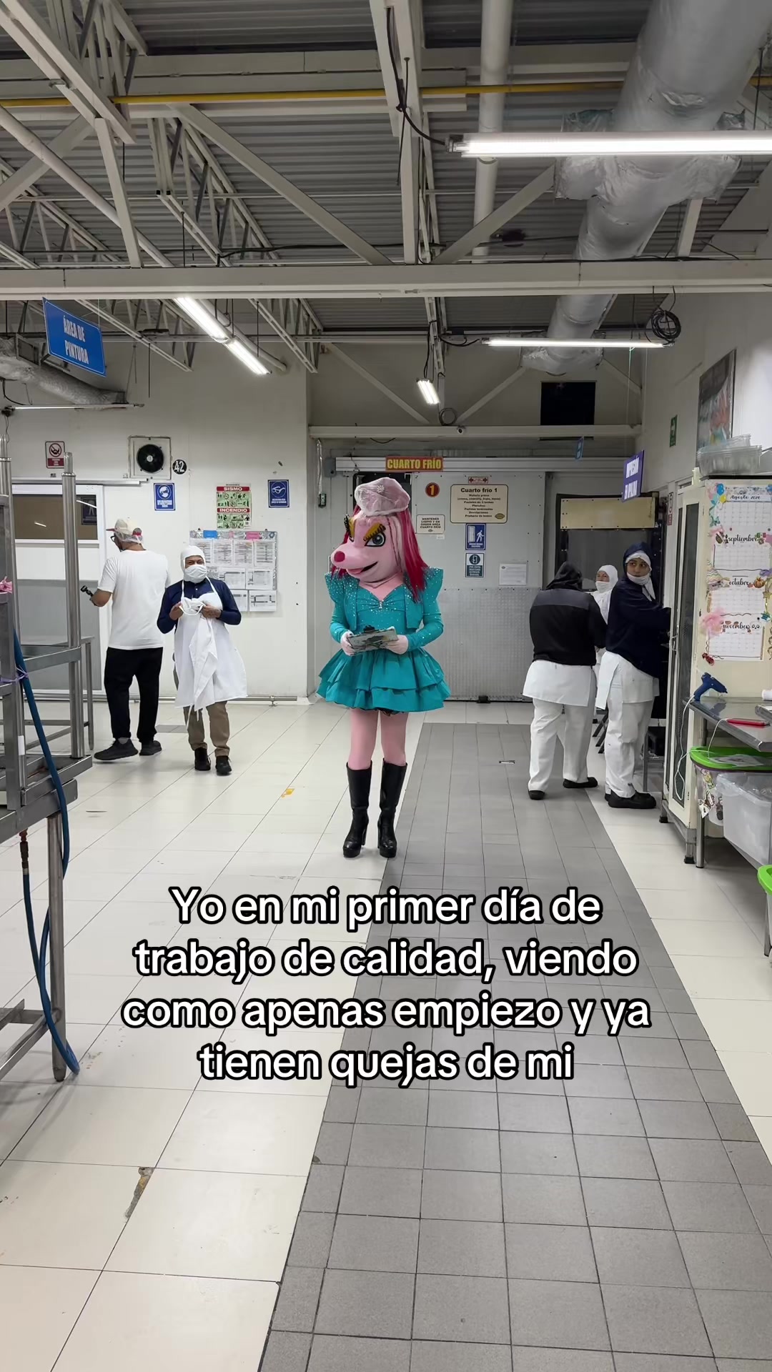 @DULCE LOPES