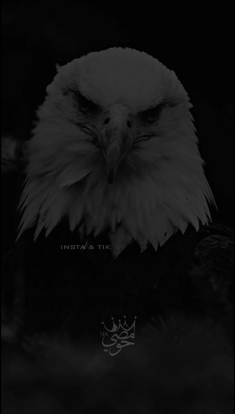 @« ๐๐ - ๐๐๐๐๐ »