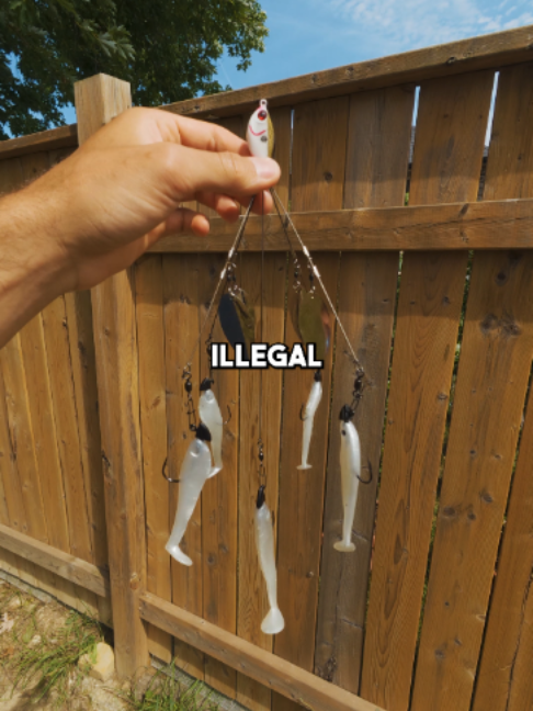 @Stef Fish