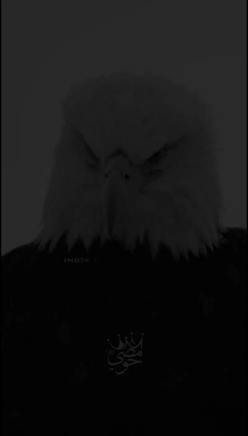 @« ๐๐ - ๐๐๐๐๐ »