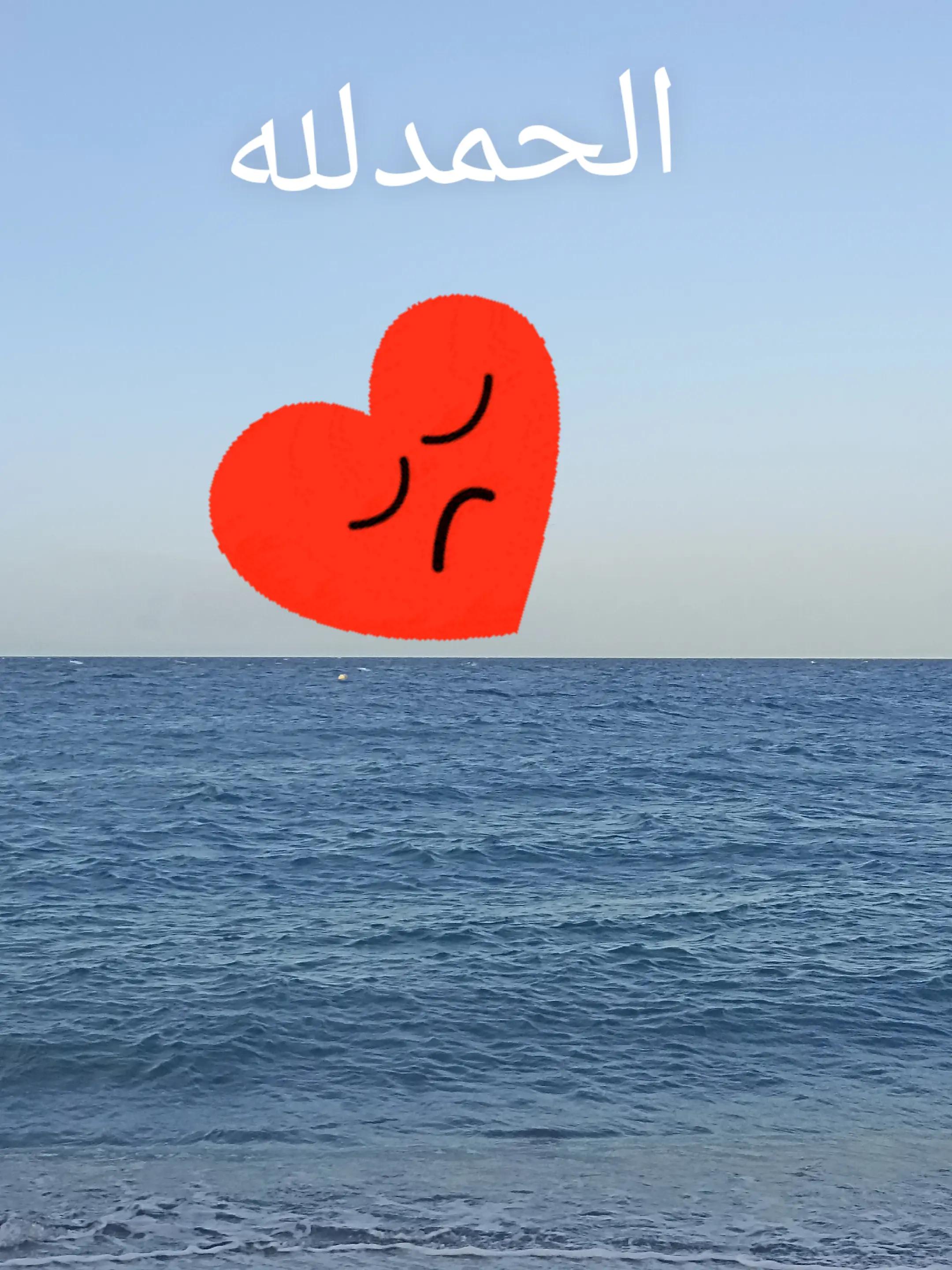 @Louna Hami
