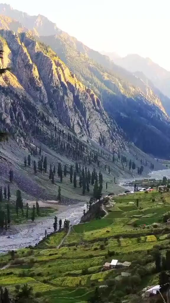 @VILLAGE_VIBES 1