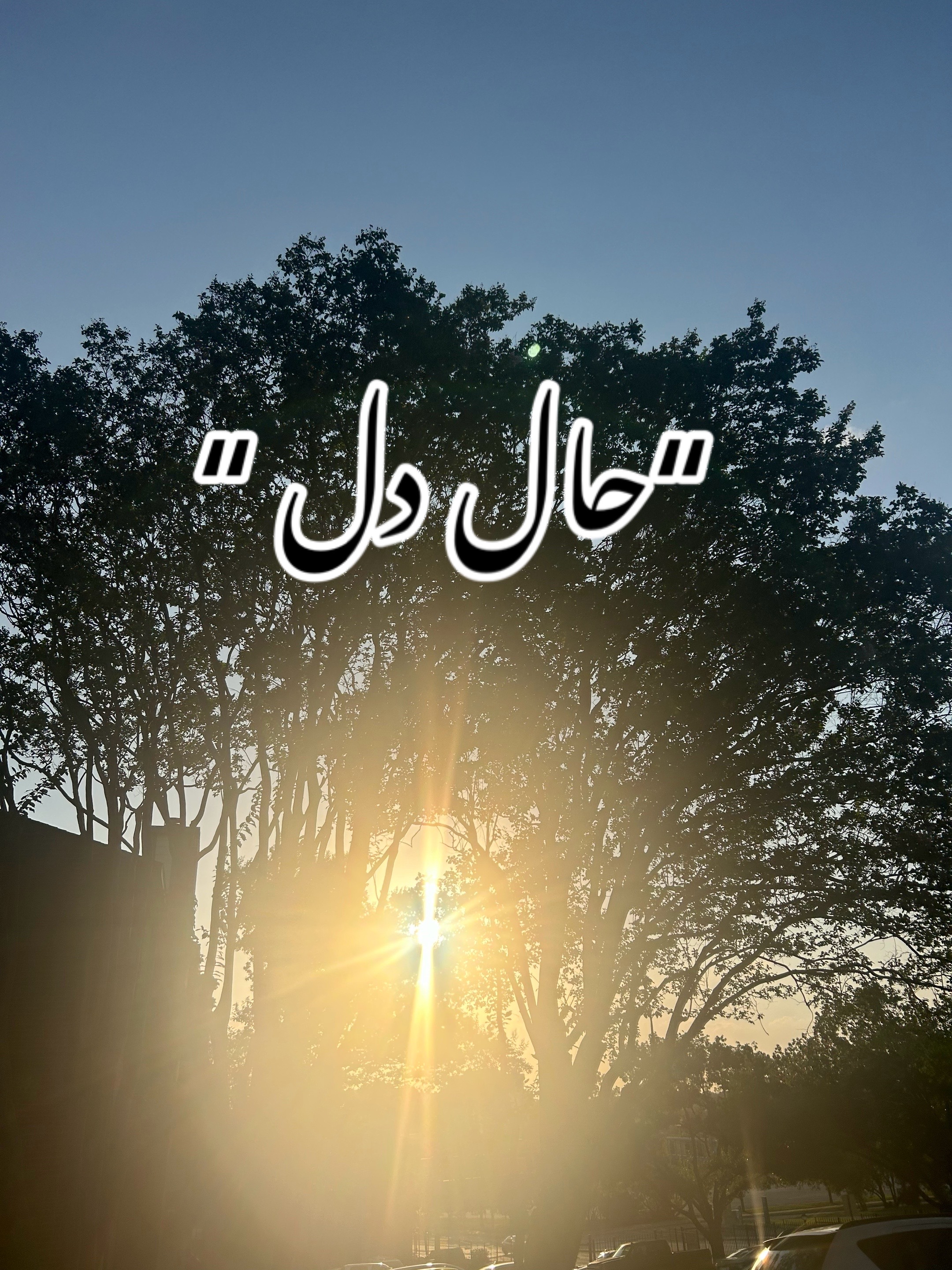 @ZaraHayat020104