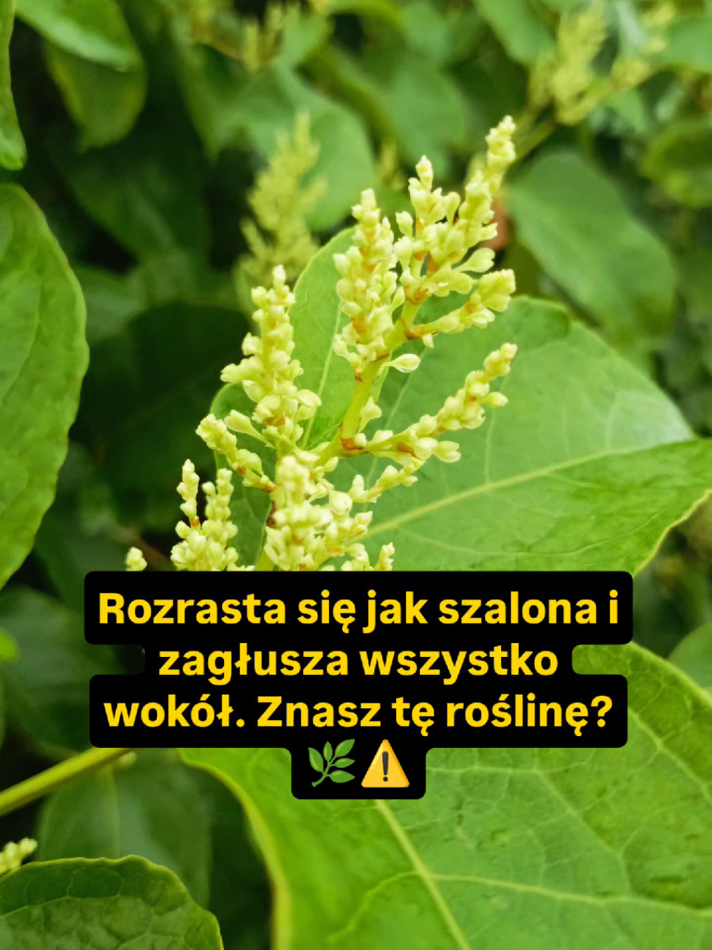 @Chwila Na Naturę🌿