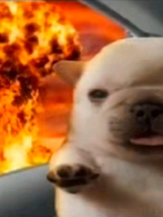 @𝙈𝘼𝙅𝙊𝙍𝘼'𝙎_𝙈𝘼𝙎𝙆