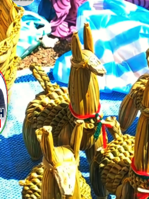 @Hilarion Bolivia Informa 🇧🇴