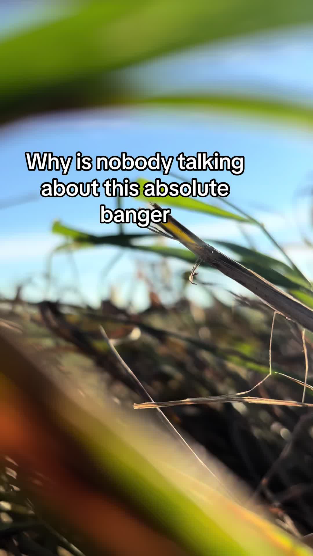 @Gage Bauer