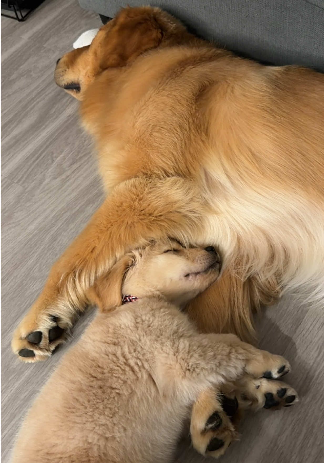 @Teddy🧸
