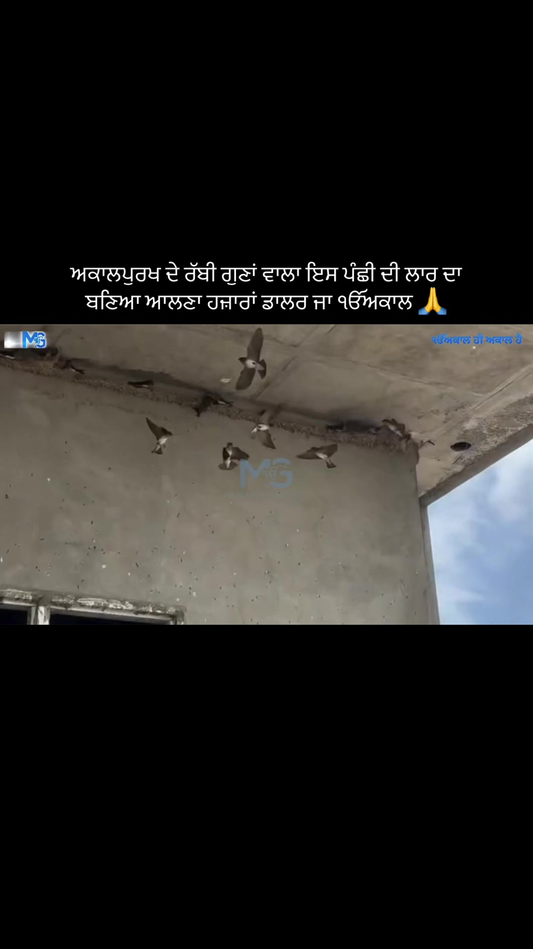 @Mandeep Singh Gill